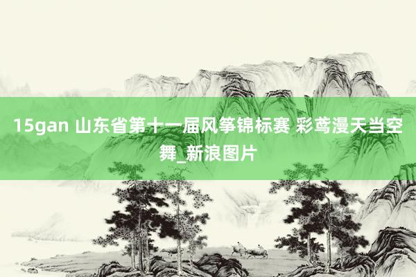 15gan 山东省第十一届风筝锦标赛 彩鸢漫天当空舞_新浪图片