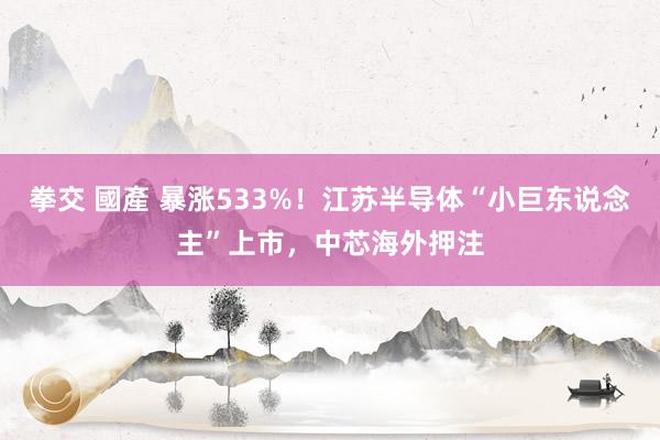 拳交 國產 暴涨533%！江苏半导体“小巨东说念主”上市，中芯海外押注