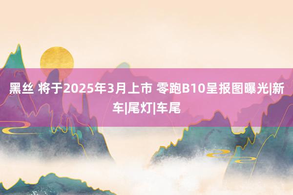 黑丝 将于2025年3月上市 零跑B10呈报图曝光|新车|尾灯|车尾